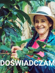 uśmiechnięta kobieta zbiera owoce kawy