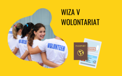 Wiza V – wolontariat (2022)